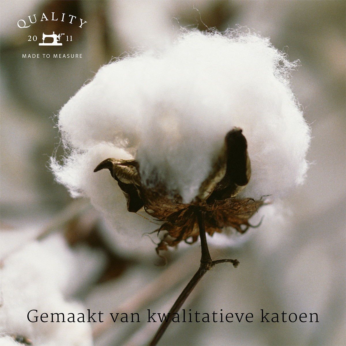 Gratis Kleurstalen Gratis Essix Stonewashed Katoen Kleurstalen